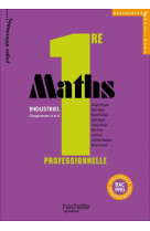 Ressources et pratiques maths 1re bac pro industriel (a et b) - livre eleve - ed.2010