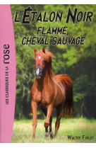 L-etalon noir - t10 - l-etalon noir 10 - flamme, cheval sauvage