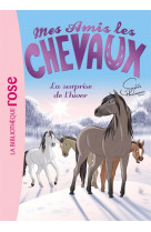 Mes amis les chevaux - sophie thalmann - t07 - mes amis les chevaux 07 - la surprise de l-hiver