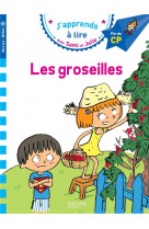 Sami et julie cp niveau 3 les groseilles