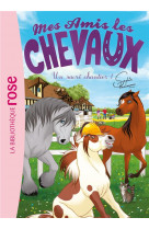 Mes amis les chevaux - sophie thalmann - t31 - mes amis les chevaux 31 - un sacre chantier !