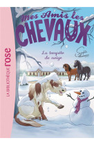 Mes amis les chevaux - sophie thalmann - t25 - mes amis les chevaux 25 - la tempete de neige