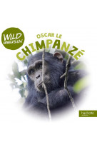 Wild immersion - oscar, le chimpanze