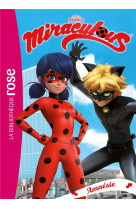 Miraculous 27 - amnésie