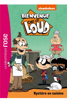 Bienvenue chez les loud - t30 - bienvenue chez les loud 30 - mystere en cuisine