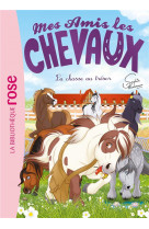 Mes amis les chevaux - sophie thalmann - t39 - mes amis les chevaux 39 - la chasse au tresor