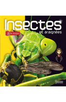 Insectes et araignees