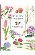 Fleurs du jardin a colorier