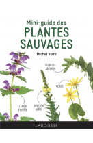 Mini-guide des plantes sauvages