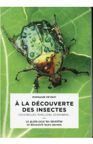 A la decouverte des insectes