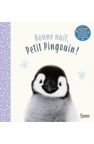 Bonne nuit petit pingouin