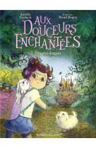 Aux douceurs enchantees - vol02 - dragees dragon