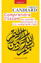 Comprendre l-islam - ou plutot : pourquoi on n-y comprend rien