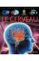 Le cerveau