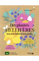 Des plantes melliferes pour mon balcon et mon jardin