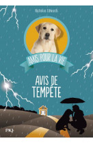 Amis pour la vie - tome 2 avis de tempete - vol02