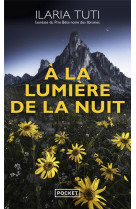 A la lumiere de la nuit