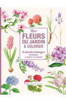 Mes fleurs du jardin a colorier