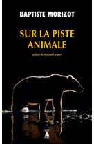 Sur la piste animale