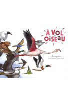 A vol d-oiseau