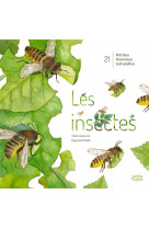 Les insectes !