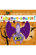 Une chauve-souris