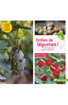 Droles de legumes ! - de nouveaux gouts a cultiver