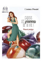 Choisis les pierres de ta vie ! - manuel pratique