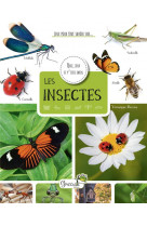 Les insectes