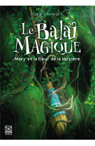 Le balai magique, mary et la fleur de la sorciere