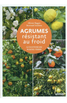 Agrumes resistant au froid - a cultiver en pleine terre