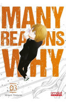 Many reasons why - tome 3 (vf) - vol03