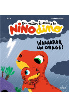 Les petites histoires de nino dino - waaaargh, un orage !