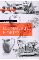 Carnet d-etudes - les natures mortes