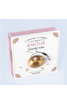 Kit bracelet le pouvoir des pierres - amour