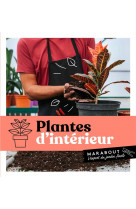 Plantes d-interieur