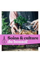 Soins et culture du bonsai