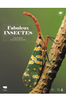 Fabuleux insectes