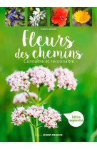 Fleurs des chemins