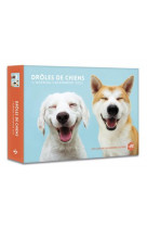 L-agenda - calendrier droles de chiens 2022