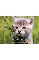 Agenda - calendrier chats et chatons 2023