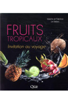 Fruits tropicaux - invitation au voyage