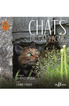 Chats de campagne