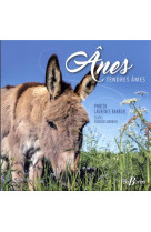 Anes - tendres ames