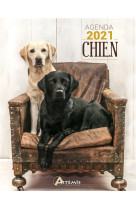 Agenda 2021 chien