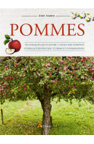 Pommes