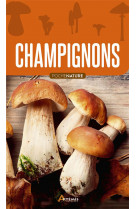 Champignons