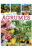 La culture des agrumes