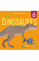 Saisissants pop-up - dinosaures