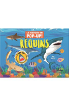 Nature pop-up - requins